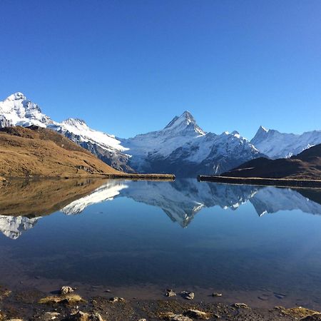 Chalet Verbrunnenhaus Grindelwald 아파트 외부 사진