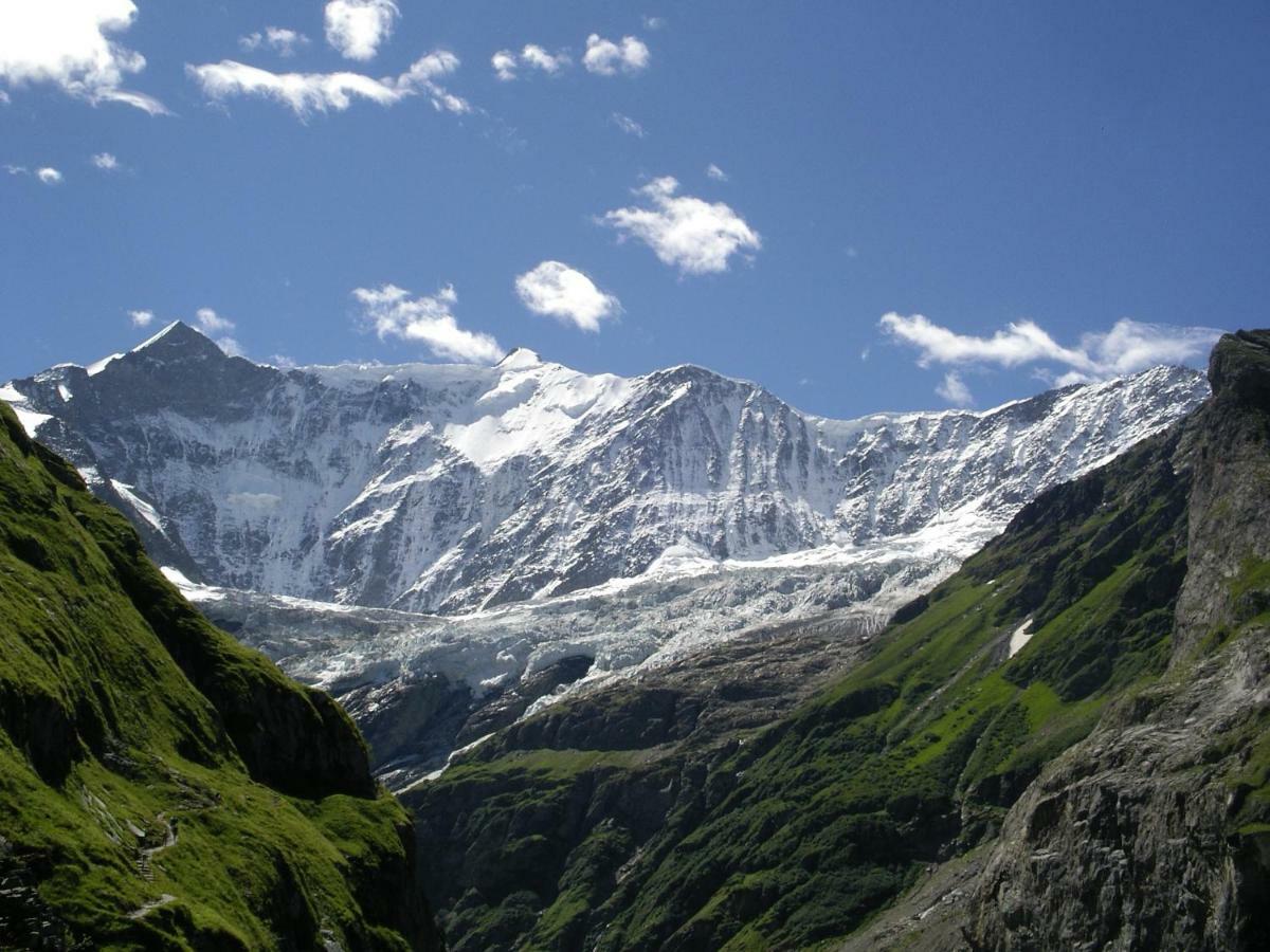 Chalet Verbrunnenhaus Grindelwald 아파트 외부 사진