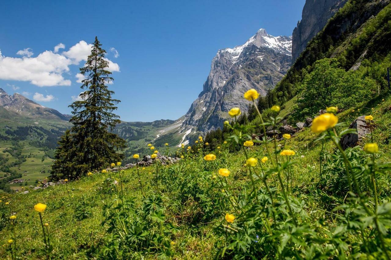 Chalet Verbrunnenhaus Grindelwald 아파트 외부 사진