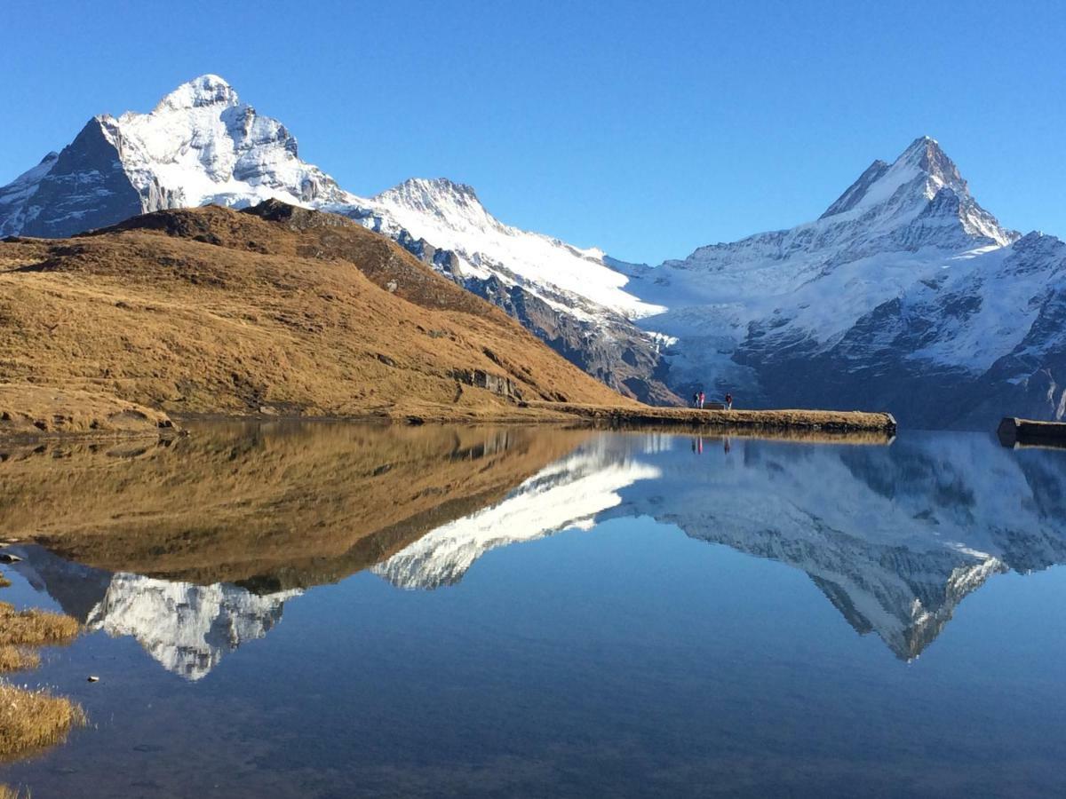 Chalet Verbrunnenhaus Grindelwald 아파트 외부 사진